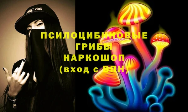 прущая мука Осташков