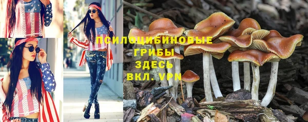 бутират Абаза