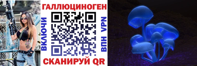 купить наркотики цена  Александровск-Сахалинский  blacksprut ссылка  Галлюциногенные грибы MAGIC MUSHROOMS 
